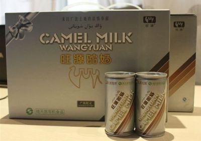 駱駝奶比牛奶好嗎，駱駝奶粉和牛奶粉有什么區別