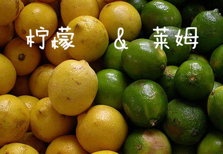 萊姆圖片，萊姆的功效與作用，萊姆營養價值