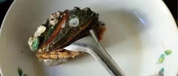 鮑魚怎么清洗，鮑魚清洗方法