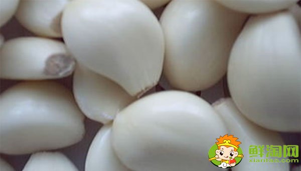 金鄉大蒜最新價格，一九年下半年大蒜行情