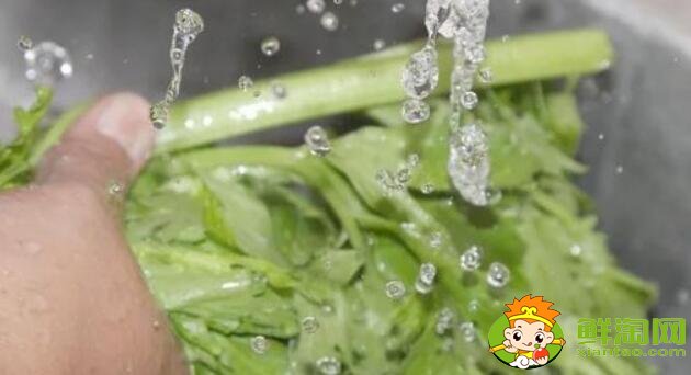 洗過(guò)的芹菜怎么保存，洗好的芹菜能放多久