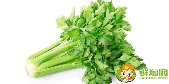 洗過(guò)的芹菜怎么保存，洗好的芹菜能放多久