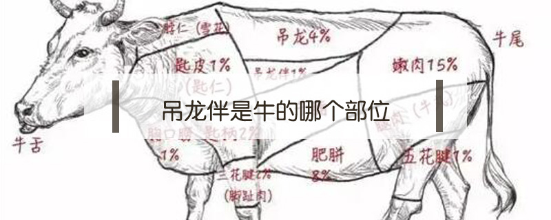吊龍伴是牛的哪個(gè)部位