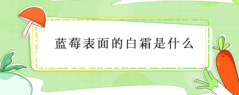 藍(lán)莓表面的白霜是什么