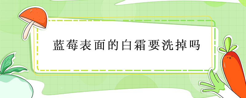 藍(lán)莓表面的白霜要洗掉嗎