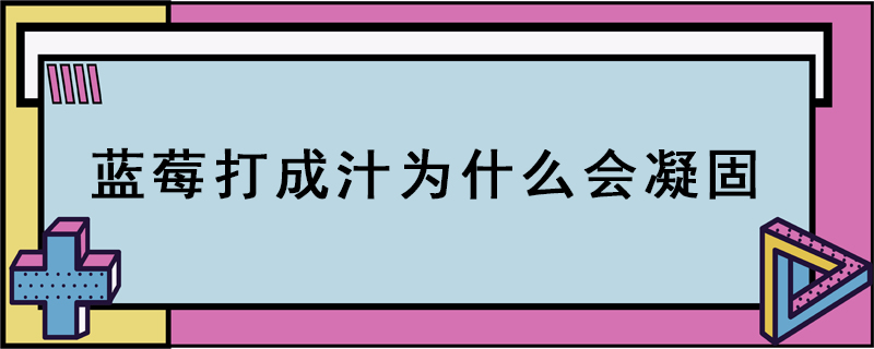 藍(lán)莓打成汁為什么會(huì)凝固
